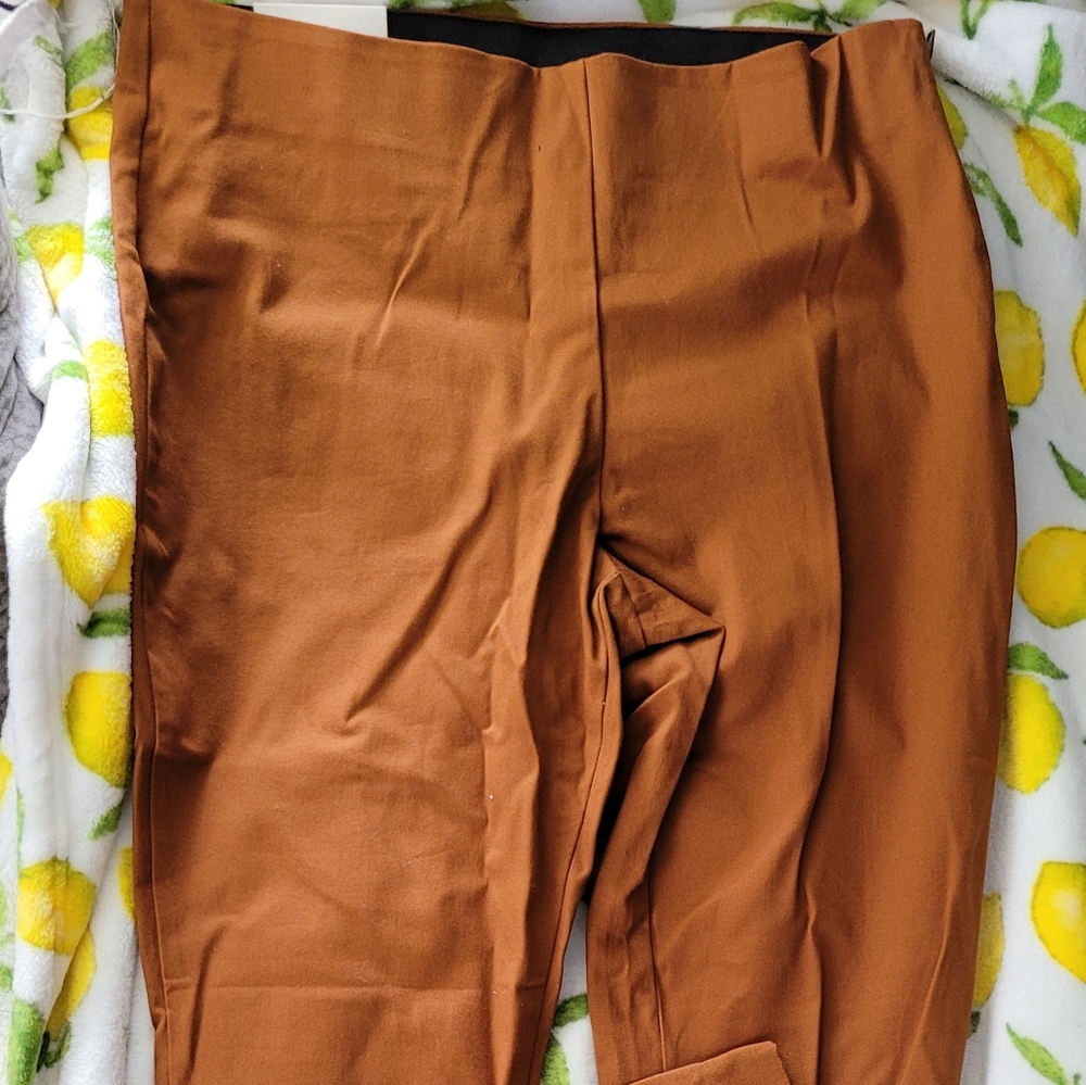 A New Day Skinny Ankle Pants size 10R